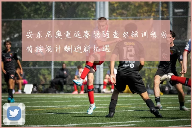安东尼奥重返赛场随查尔顿训练或将按场计酬迎新机遇